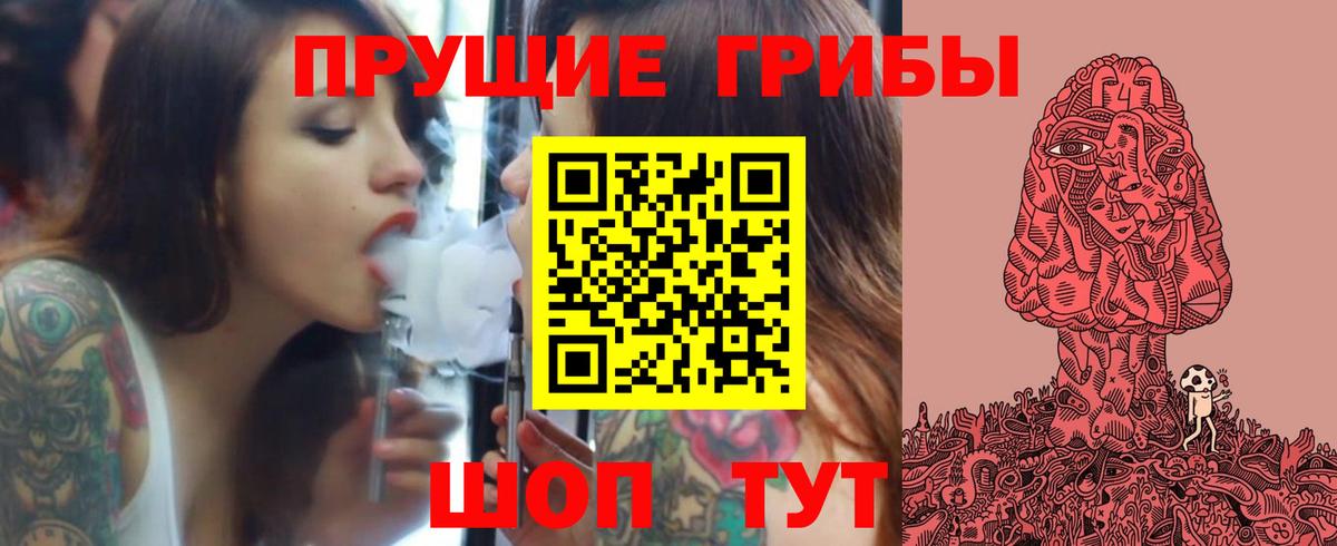 Галлюциногенные грибы Psilocybe Воскресенск